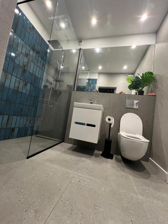 La salle de bains est pourvue d'une douche et de toilettes dans une cabine. dans l'établissement Apartament Kościuszki 47m44, à Cracovie