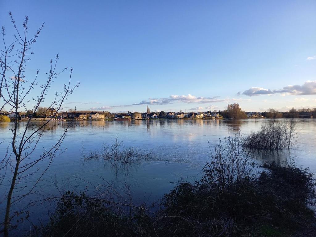 Une grande masse d'eau avec des maisons en arrière-plan dans l'établissement La Halte des Bateliers et des Vignobles, à Rochefort-sur-Loire