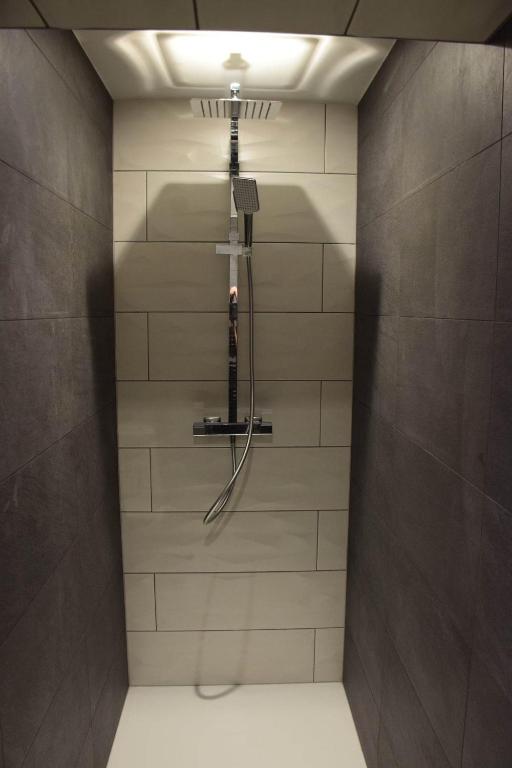 a shower in a bathroom with a shower head at SAS La perle d&#39;alsace in Bernardswiller