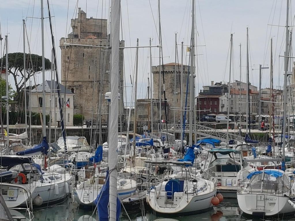 un groupe de bateaux amarrés dans un port dans l'établissement DUPLEX PISCINE MER, à La Rochelle