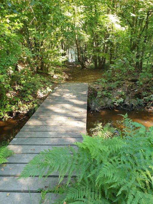 a wooden path through a forest with trees and water at Gîte n° 20, en pleine nature, frontalier in Signy-le-Petit