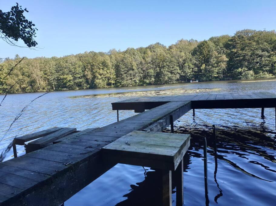 a wooden dock in the middle of a lake at Gîte n° 20, en pleine nature, frontalier in Signy-le-Petit