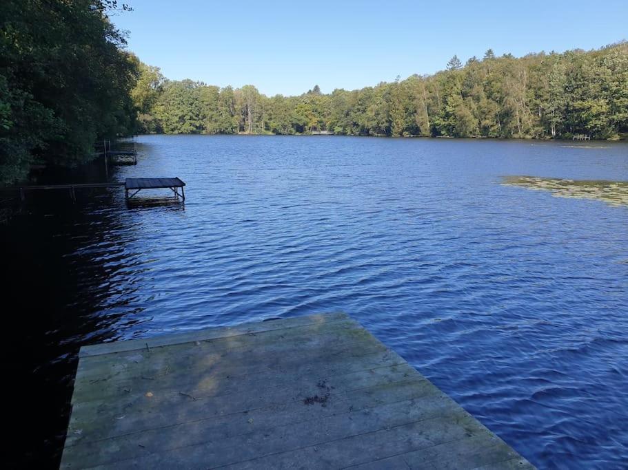 a bench sitting in the middle of a lake at Gîte n° 20, en pleine nature, frontalier in Signy-le-Petit