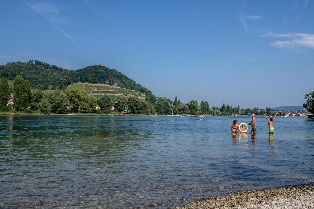 Fotografie z fotogalerie ubytování Landgasthof Camping v destinaci Wagenhausen