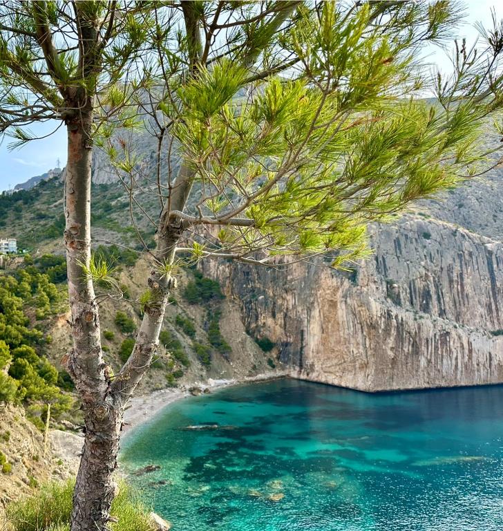 Φυσικό τοπίο κοντά σε αυτό το διαμέρισμα