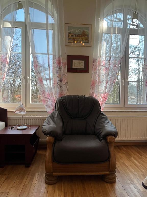 una silla de cuero en una sala de estar con ventanas en APARTAMENT SPALSKIE KLIMATY, en Spała