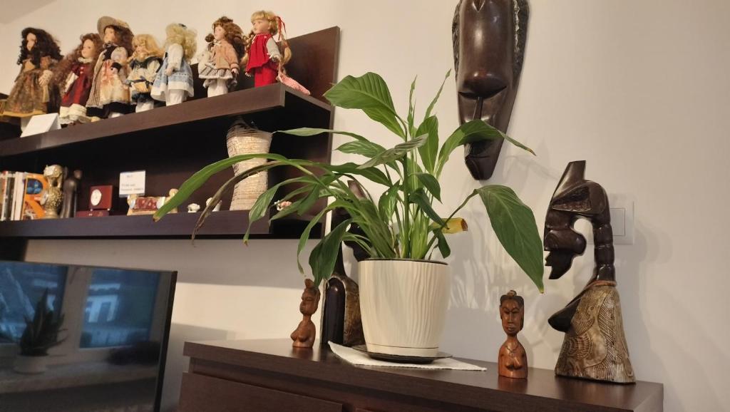 Apartament nad fontanną - Appartement Met één Slaapkamer