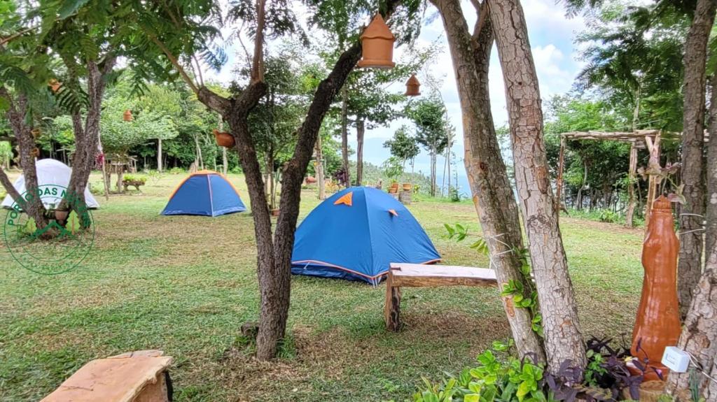 zwei blaue Zelte auf einem Feld mit Bäumen in der Unterkunft Porto das Nuvens in Viçosa do Ceará