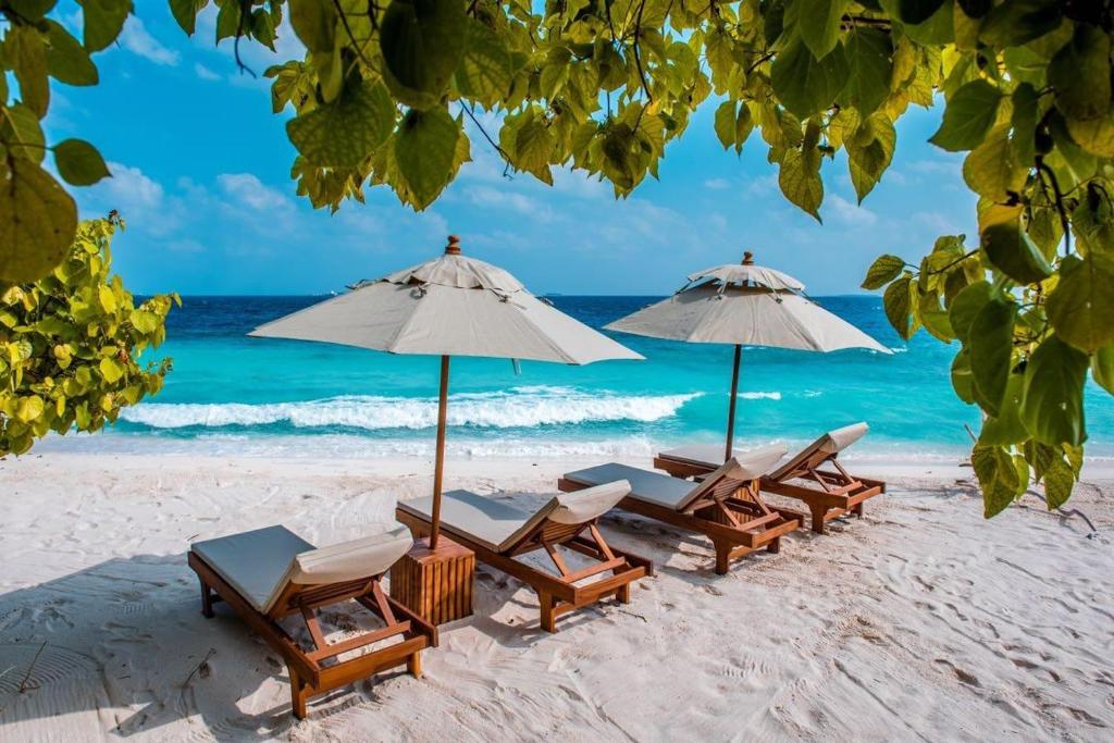 Kamadhoo的住宿－Sand Inn Residence，海滩上的一组椅子和遮阳伞