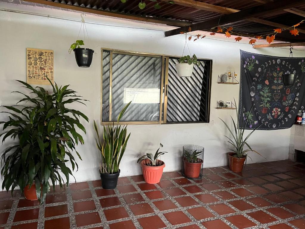Fotografie z fotogalerie ubytování Nice Place v destinaci Medellín