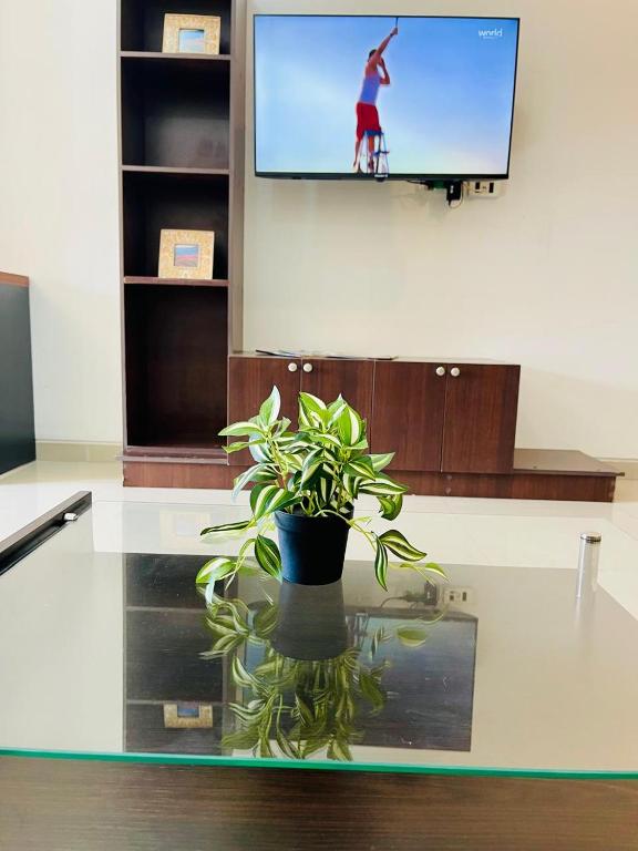 TV a/nebo společenská místnost v ubytování Monoambiente amplio y cómodo Oasis