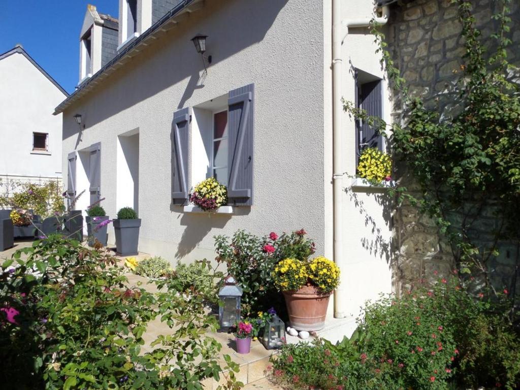 uma casa branca com vasos de plantas nas janelas em Gîte Cravant-les-Côteaux, 6 pièces, 10 personnes - FR-1-381-395 em Cravant-les-Coteaux
