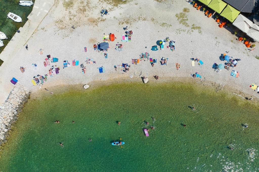 Hostia v ubytovaní Family friendly house with a parking space Sukosan, Zadar - 6123