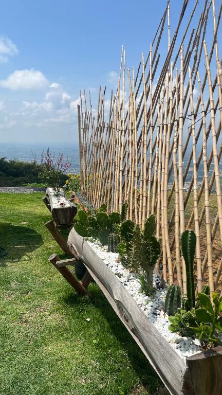 Zahrada ubytování Glamping Ríos Voladores Pereira