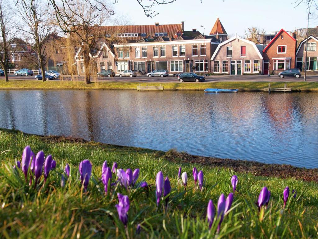 アルクマールにあるHoliday home in the centre of Alkmaarの湖畔の草の紫花束