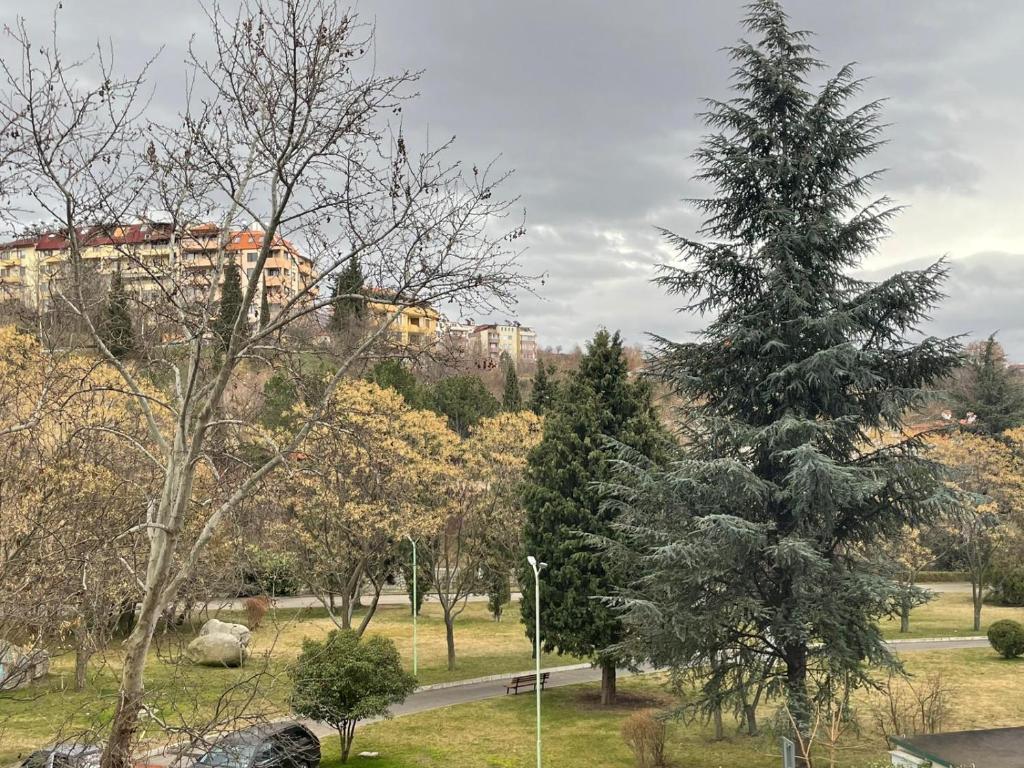 Příroda nedaleko apartmánu