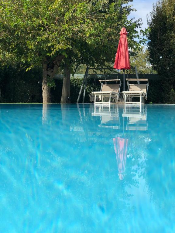 a pool with a table and chairs and an umbrella at B&B casa Belvedere in Tezze sul Brenta