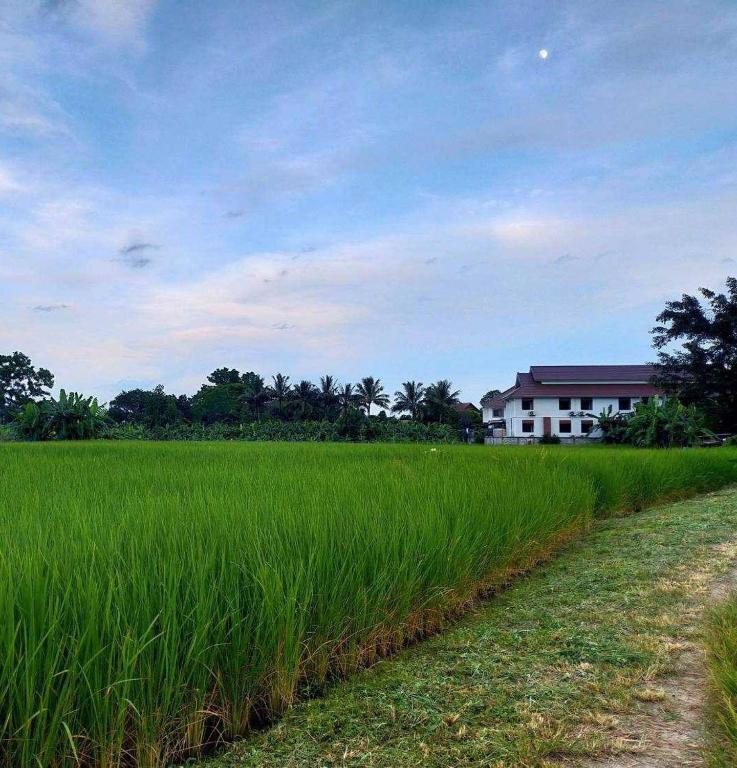 Annahouse - Resim 28