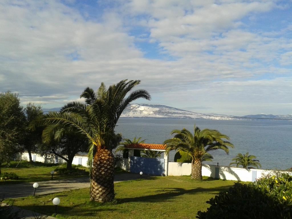 a group of palm trees in front of the ocean at VILLA DINA in Arkítsa