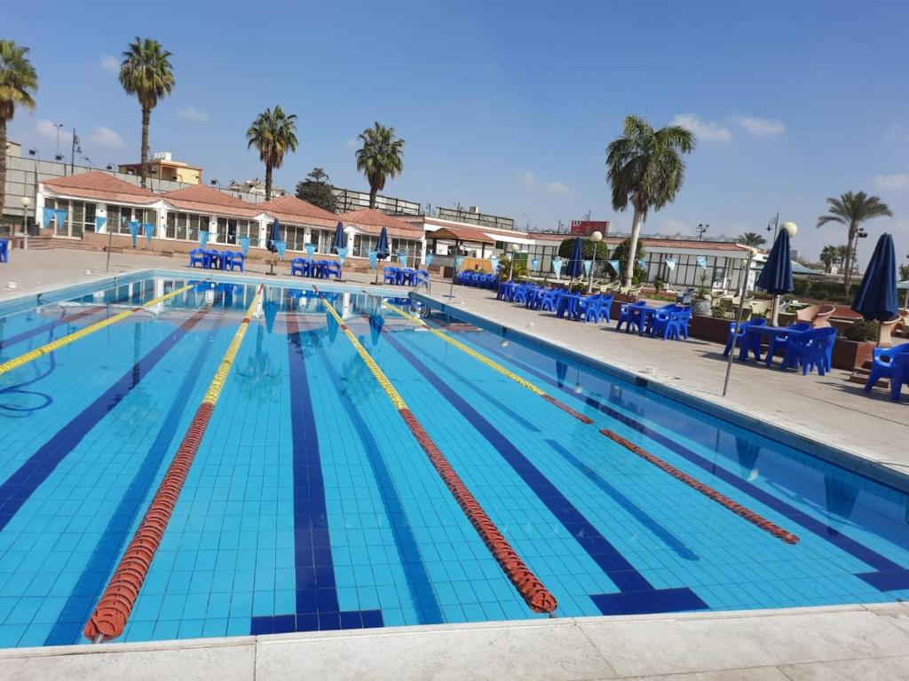 a swimming pool at a resort with blue chairs and palm trees at Al-Galaa Club in Cairo