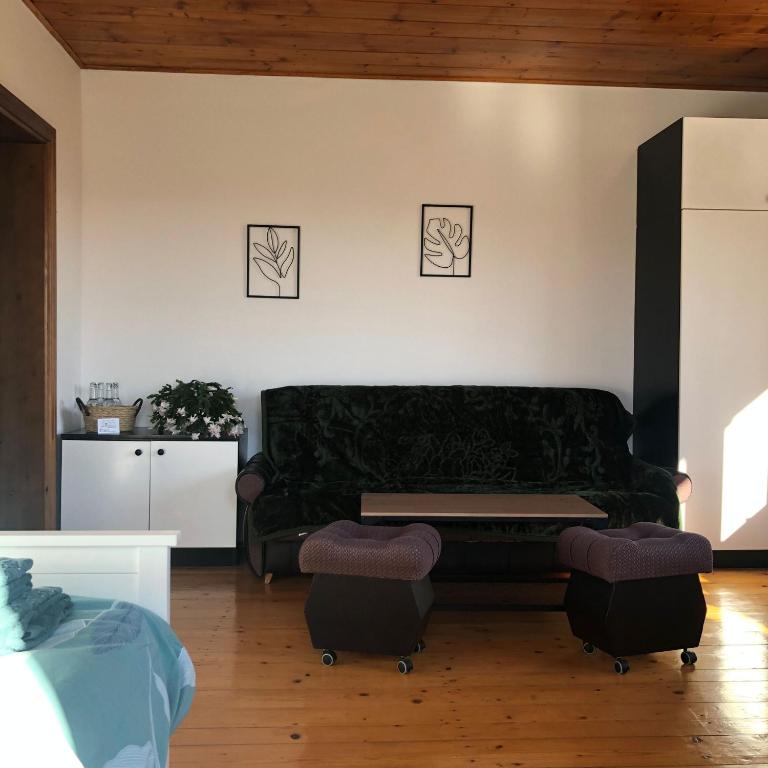 Agroturystyka Zagroda Miłkowskie - 两居室公寓