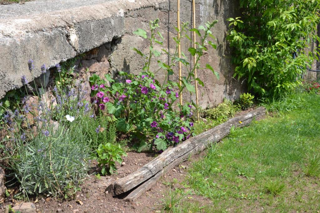 Vonkajšia záhrada v ubytovaní Kristplonerhof