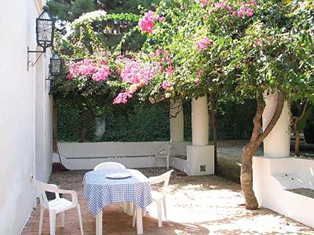 サンターガタ・ディ・ミリテッロにあるLa Villetta Eolianaのテーブルと椅子、ピンクの花の木