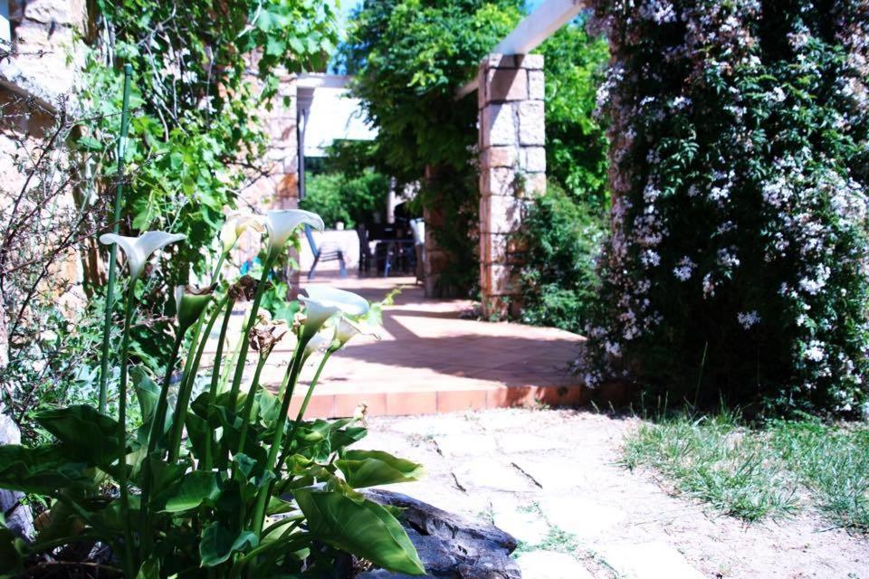 Zahrada ubytování Bastide de l'Ovalie Gites