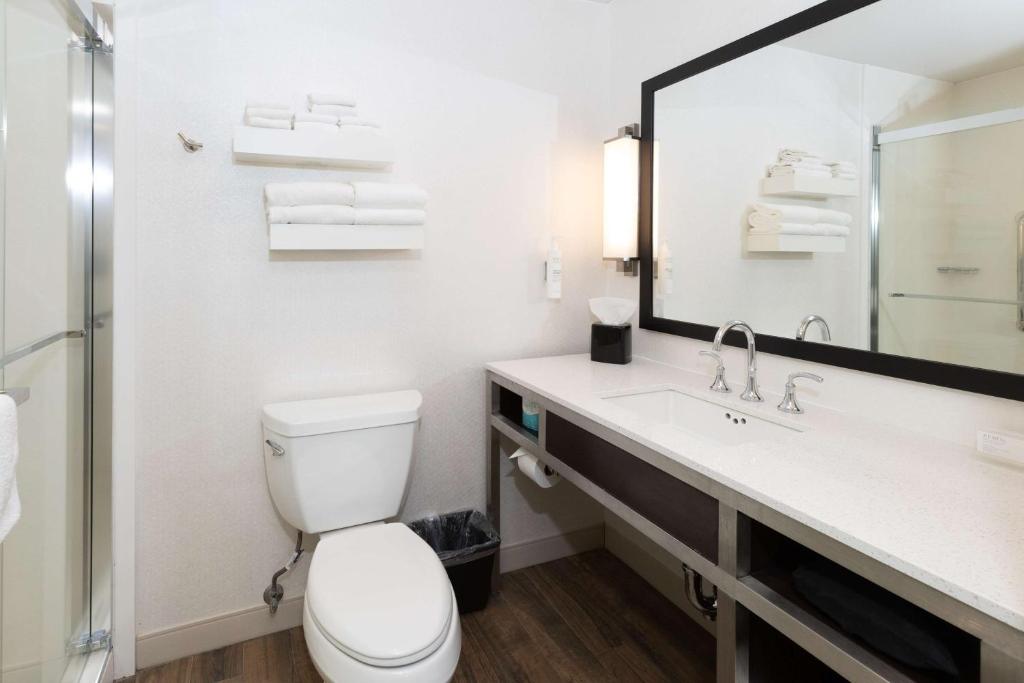Hilton Garden Inn Austin Airport - King Room Met Ligbad - Mobiliteit En Gehoortoegang