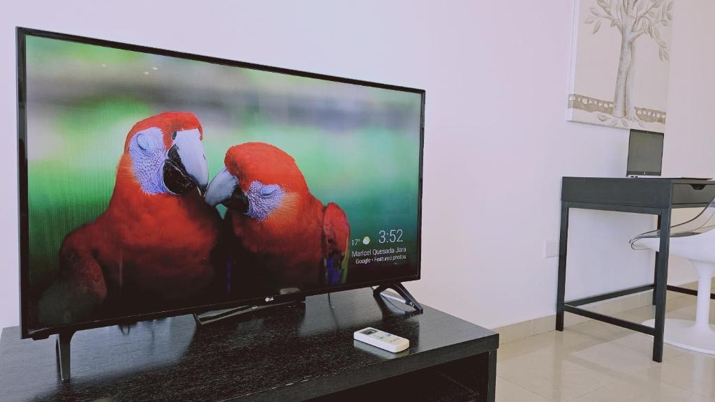 TV a/nebo společenská místnost v ubytování STAY White Petals Apartment