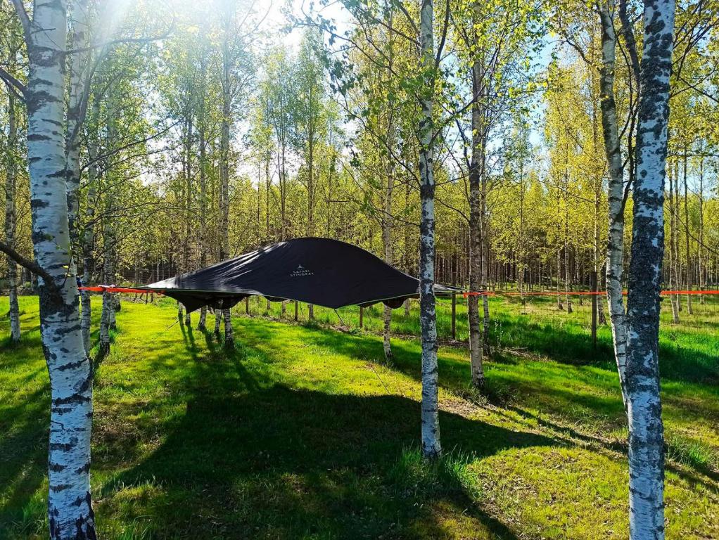 une tente au milieu d'une forêt plantée d'arbres dans l'établissement Hannaksen tila - Tentsiles, à Korpo