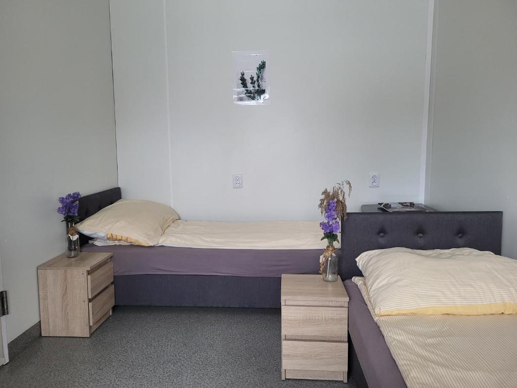 Hostel Atena - Chambre Lits Jumeaux Standard