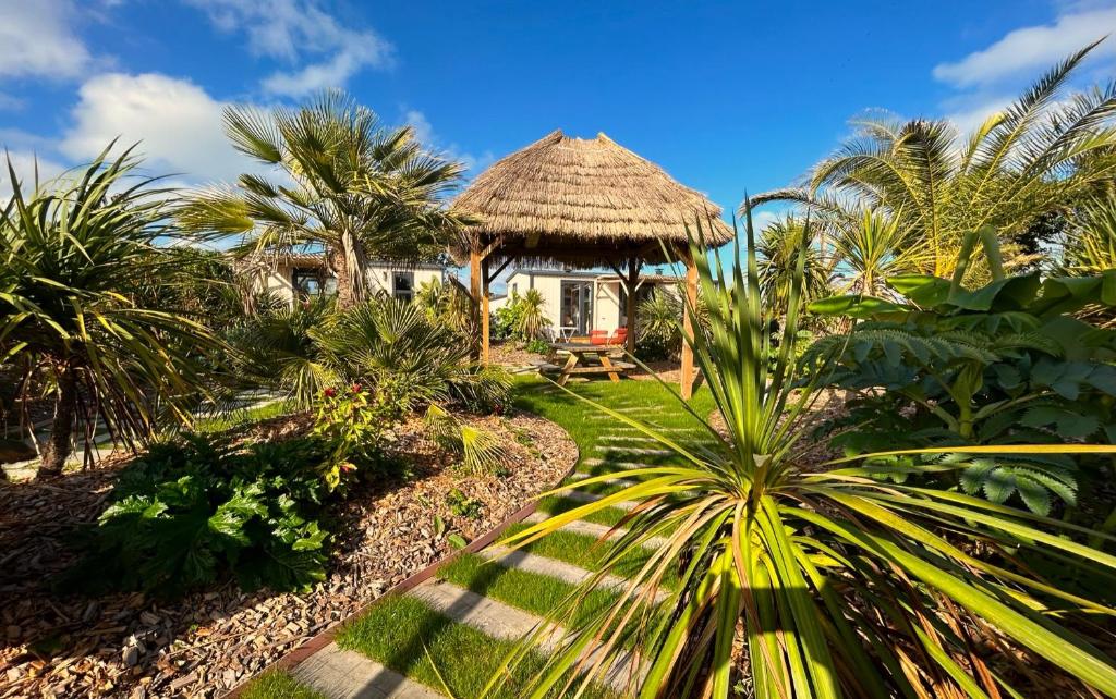 une maison avec toit de chaume et palmiers dans l'établissement Camping de la côte des légendes, à Brignogan-Plage