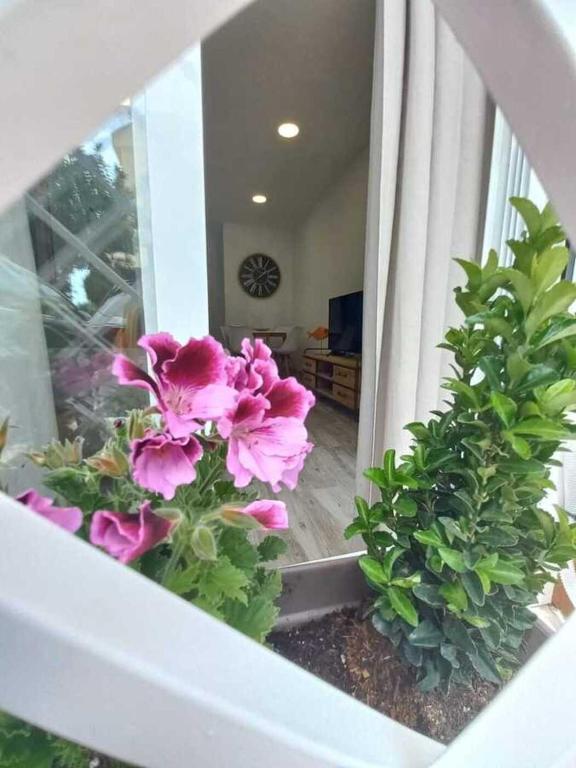 Zahrada ubytování Nuevo apartamento junto al mar
