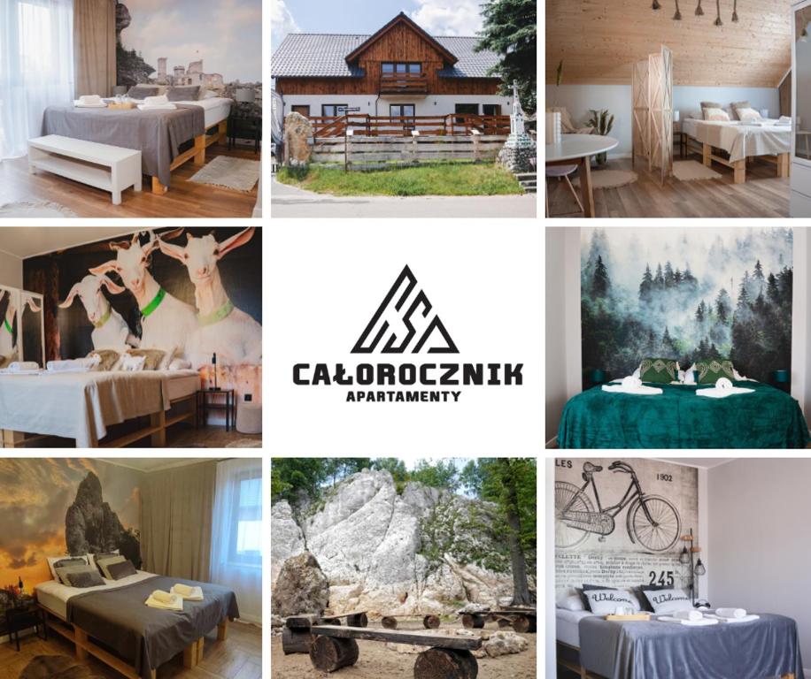 een collage van foto's van verschillende soorten meubilair bij Całorocznik apartamenty in Ryczów