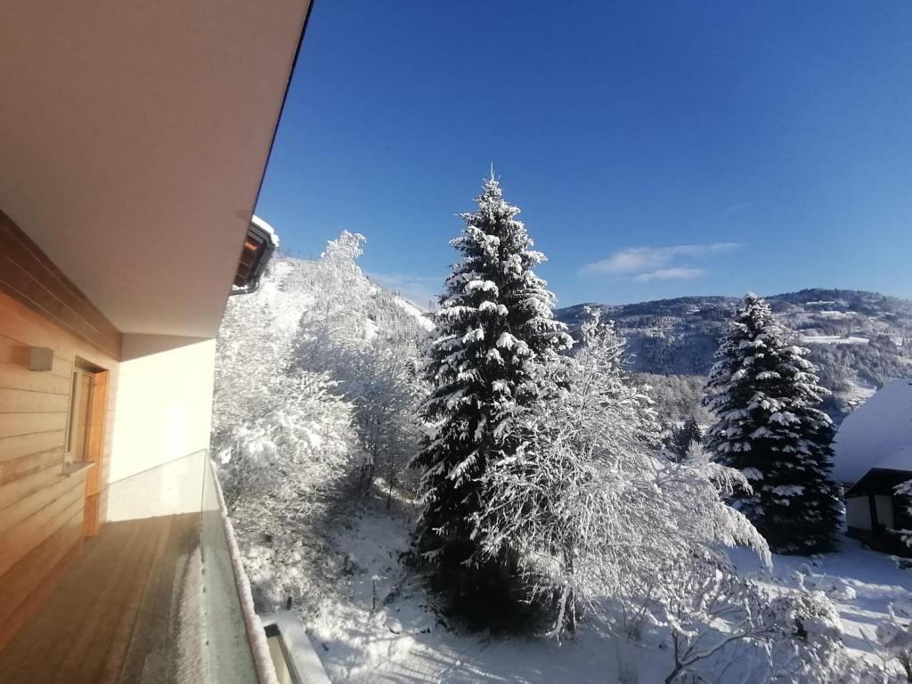 Nespecifikovaný výhled na hory nebo výhled na hory při pohledu z apartmánu