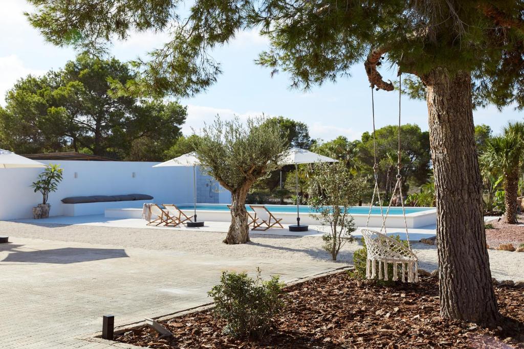 um pátio com árvores e uma piscina com cadeiras em FINCA LA CAÑADA SANTA POLA em Santa Pola