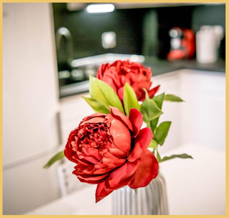 a vase with a red flower in a kitchen at Appart T3 Luxe Douvaine in Douvaine