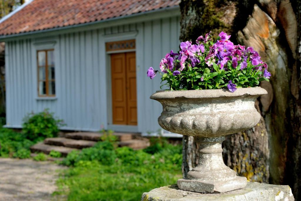 un vaso di pietra pieno di fiori viola di fronte a una casa di Nästegården Bed & Breakfast a Sätuna