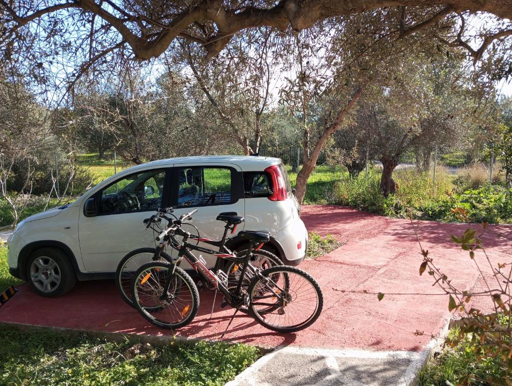 Jízda na kole v ubytování Cottage1Το μικρό σπίτι στο λιβαδι nebo okolí