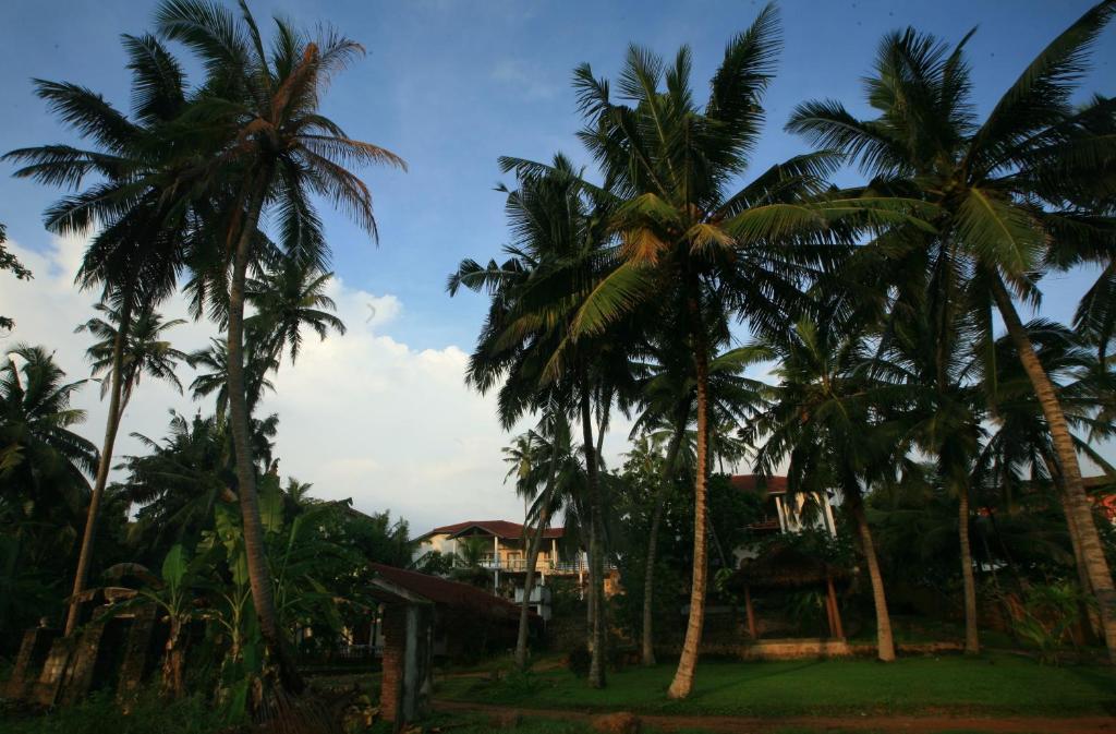Zahrada ubytování Land's End Villa