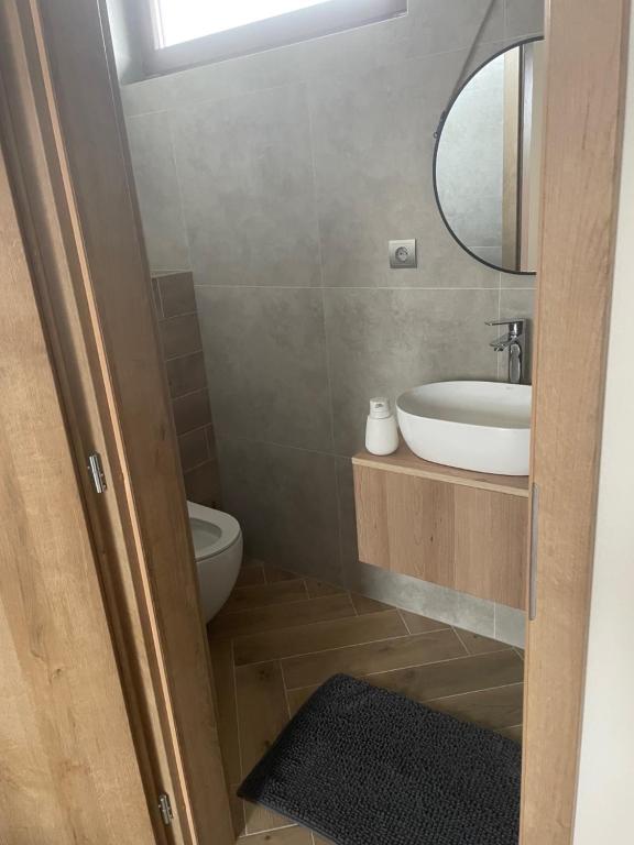 La salle de bains est pourvue d'un lavabo, de toilettes et d'un miroir. dans l'établissement Penzion Farmer Kapušany, à Kapušany