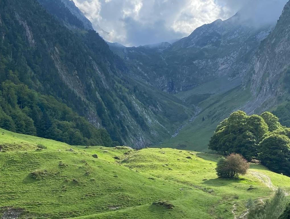 Paysage naturel près de l'appartement
