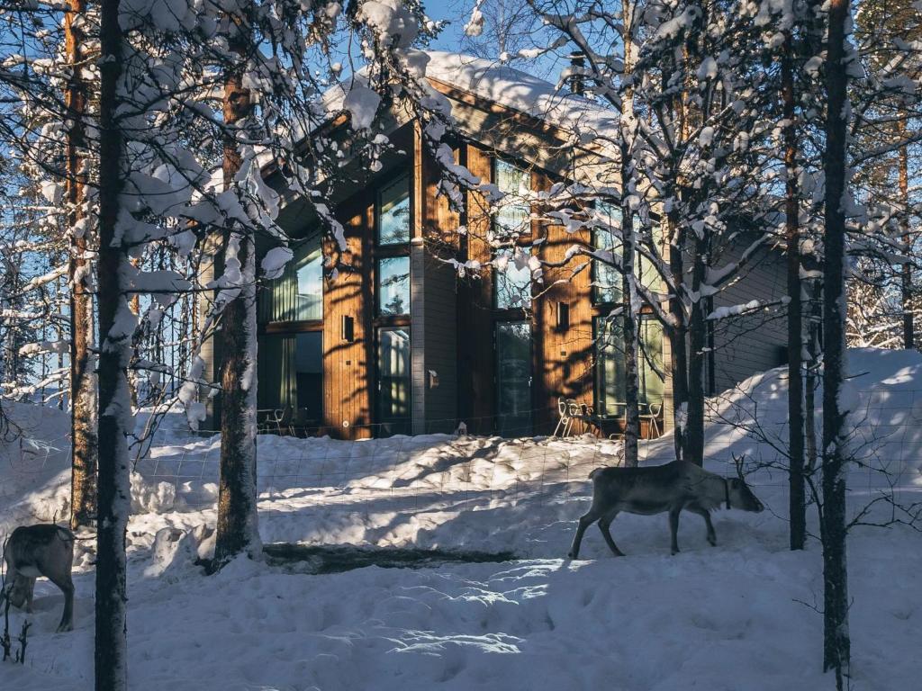 dos ciervos caminando en la nieve frente a un edificio en Holiday Home Honka a by Interhome, en Napapiiri