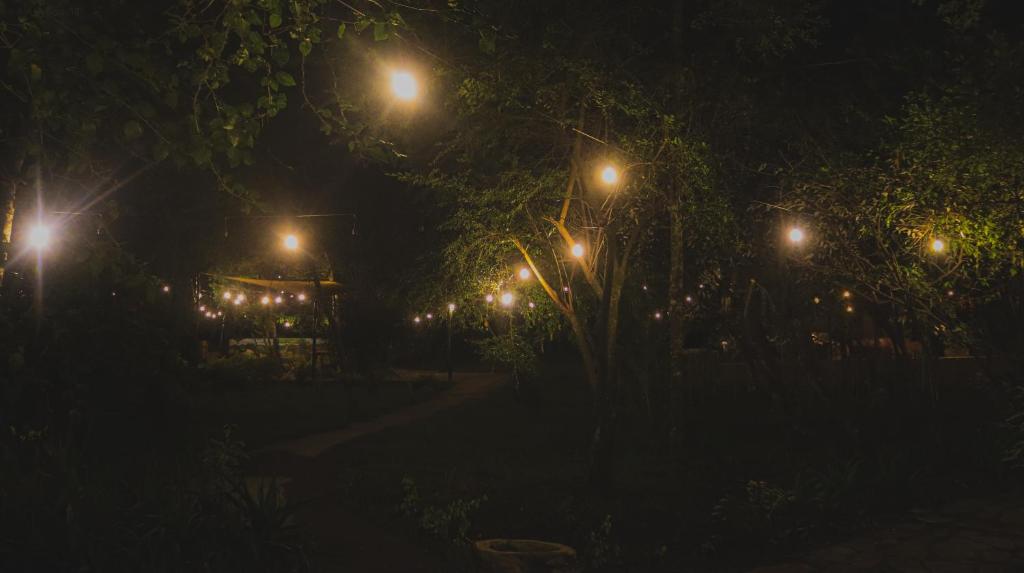 Un jardín fuera de Drunken Elephant Mara