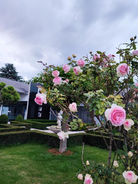 a tree with pink roses in front of a house at LUXUS sApartments in der Kunstvilla &amp; kostenloses parken in Premstätten