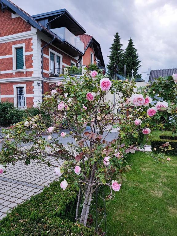 a tree with pink roses in front of a house at LUXUS sApartments in der Kunstvilla &amp; kostenloses parken in Premstätten