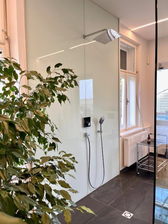 a shower stall in a bathroom with a plant at LUXUS sApartments in der Kunstvilla &amp; kostenloses parken in Premstätten