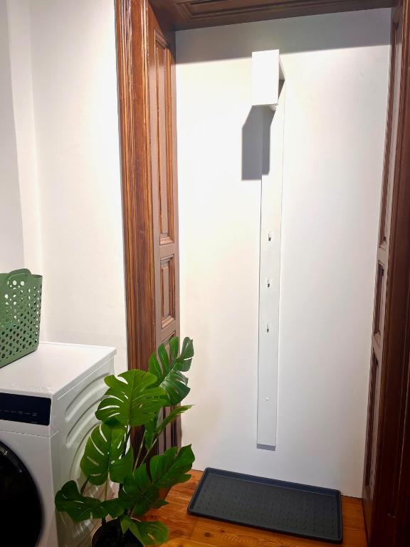 a laundry room with a washing machine and a plant at LUXUS sApartments in der Kunstvilla &amp; kostenloses parken in Premstätten