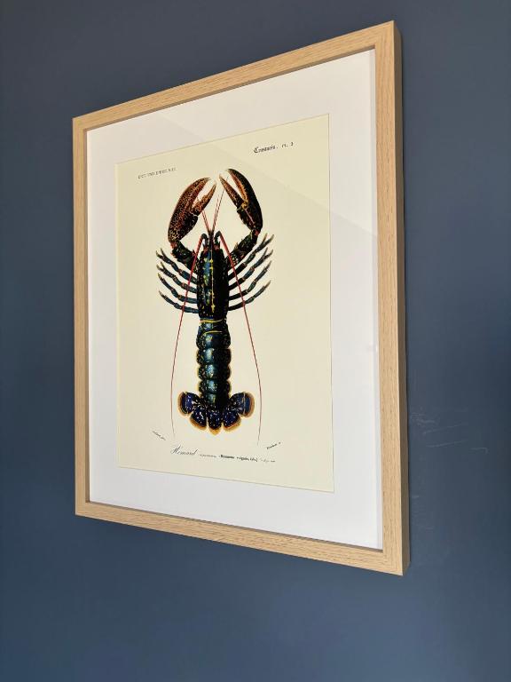 a framed picture of a lobster on a wall at Hôtel De La Marine in Arromanches-les-Bains